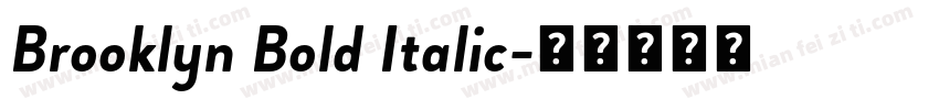Brooklyn Bold Italic字体转换
